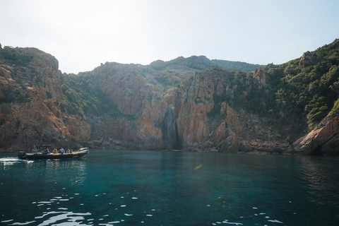 Von Porto aus: Piana Creeks und Scandola Semi-Rigid Boat Tour