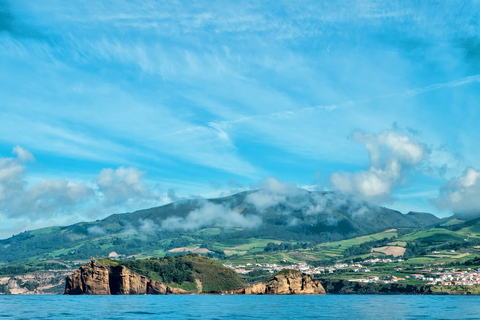 Açores : journée observation de baleines, déjeuner &amp; plongée