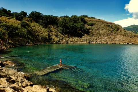 Wal- und Delfinbeobachtung mit Besuch der Insel Vila Franca