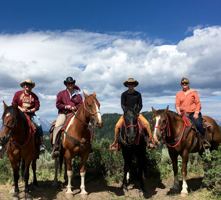 Bridger-Teton Forest: Day Trips and Tours from Jackson, Wyoming