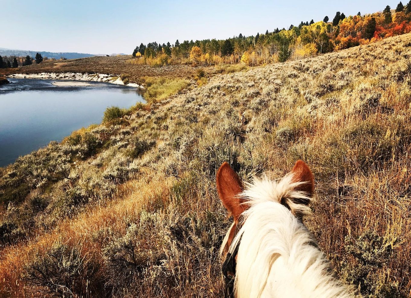 Jackson Hole: Ridetur til hest i Bridger-Teton National Forest