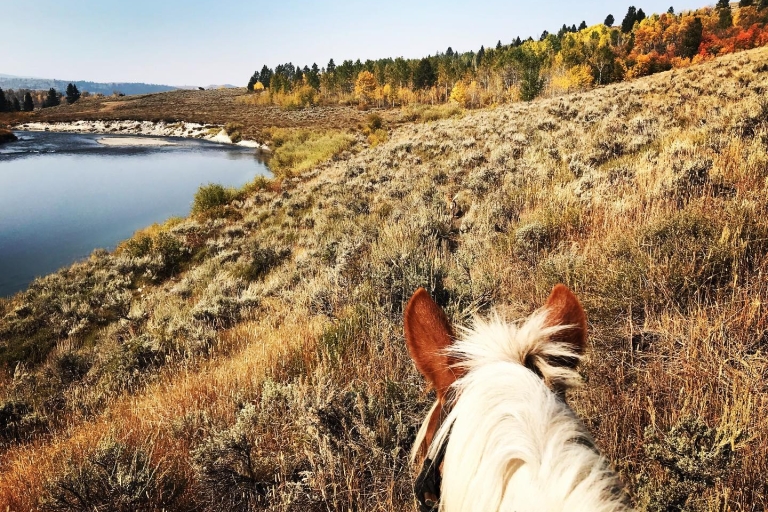 Jackson Hole: balade à cheval dans la forêt nationale de Bridger-TetonVisite de 2 heures