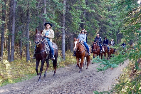 Jackson Hole: balade à cheval dans la forêt nationale de Bridger-TetonVisite de 4 heures