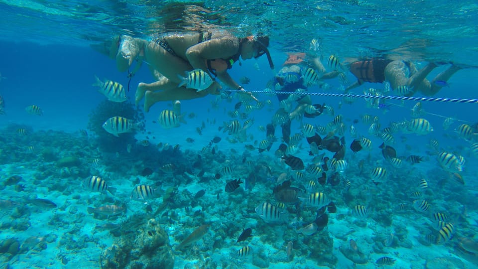 De San Andrés, Cruzeiro de Snorkeling na Baía de San Andrés - Hizvo