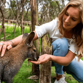 Melbourne: Peninsula Nature Private Day Trip with Dinner