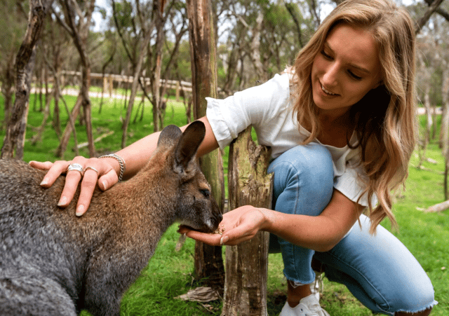 Melbourne: Peninsula Nature Private Day Trip with Dinner