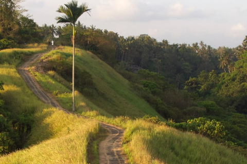 Ubud: Temple, Waterfall, Rice Terrace, Ubud Market & Palace Without entry tickets