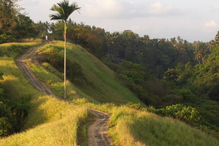 Ubud: Temple, Waterfall, Rice Terrace, Ubud Market & Palace Without entry tickets