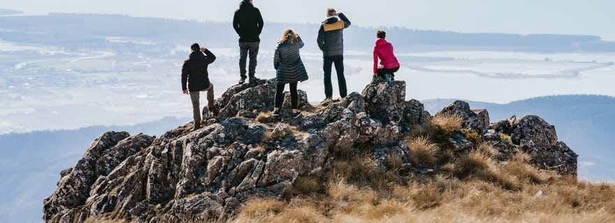 Nelson: vol en hélicoptère avec Mountain Landing & Bay Views