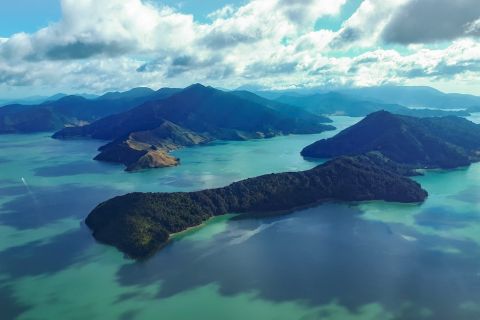 From Nelson: Marlborough Sounds Scenic Helicopter Flight