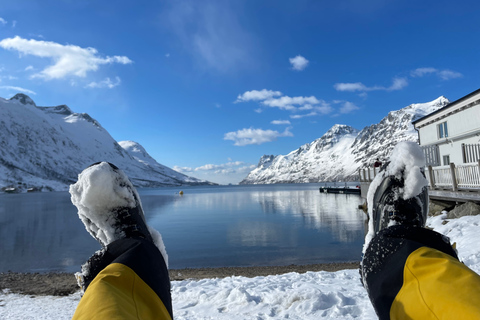 Tromso: visite panoramique et écologique en raquettes