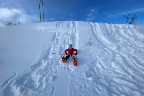 Tromso: passeio panorâmico e ecológico com raquetes de neve