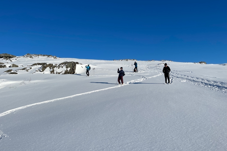 Tromsø: Malerische & umweltfreundliche Schneeschuh-Wanderung