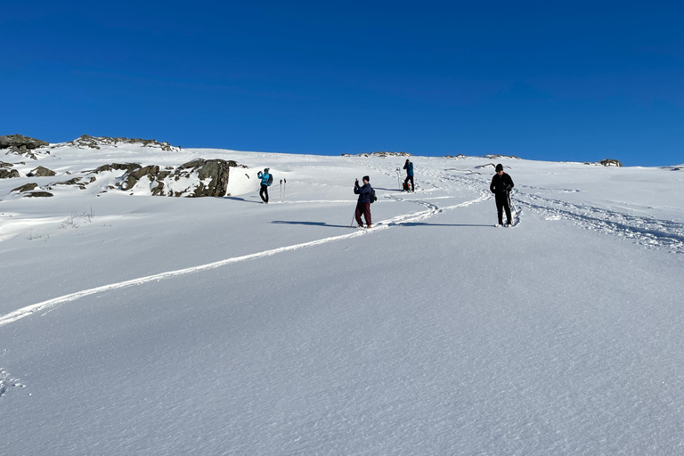 Tromso: visite panoramique et écologique en raquettes