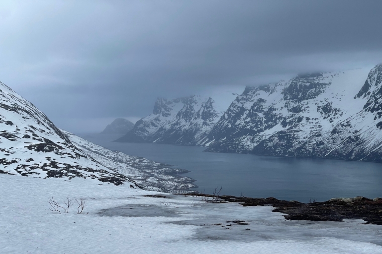 Tromso: recorrido panorámico y ecológico con raquetas de nieve