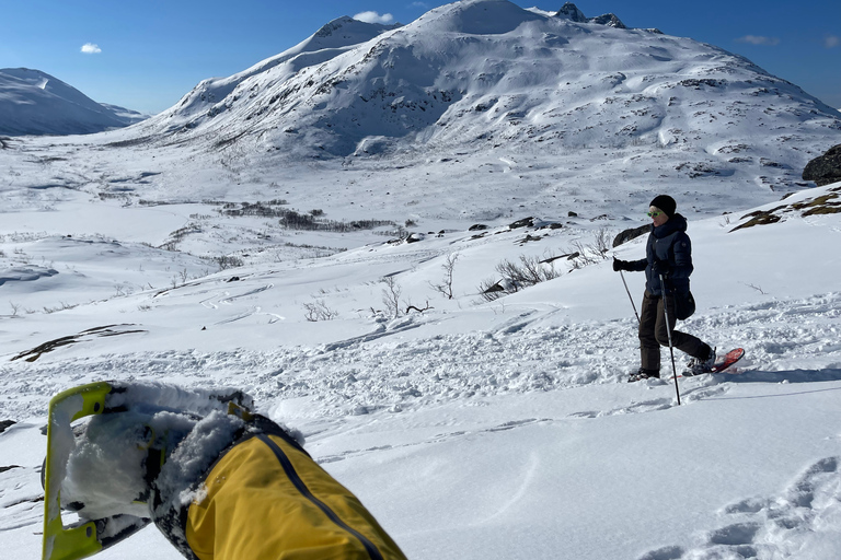 Tromso: recorrido panorámico y ecológico con raquetas de nieve