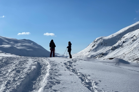Tromsø: prachtige milieuvriendelijke sneeuwschoenwandeltochtTromso: schilderachtige en milieuvriendelijke sneeuwschoentocht
