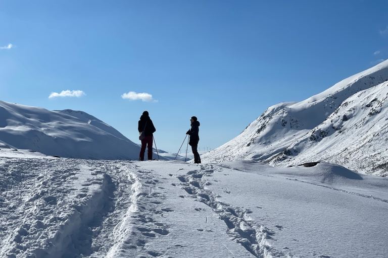 Tromso: malownicza i ekologiczna wycieczka na rakietach śnieżnych