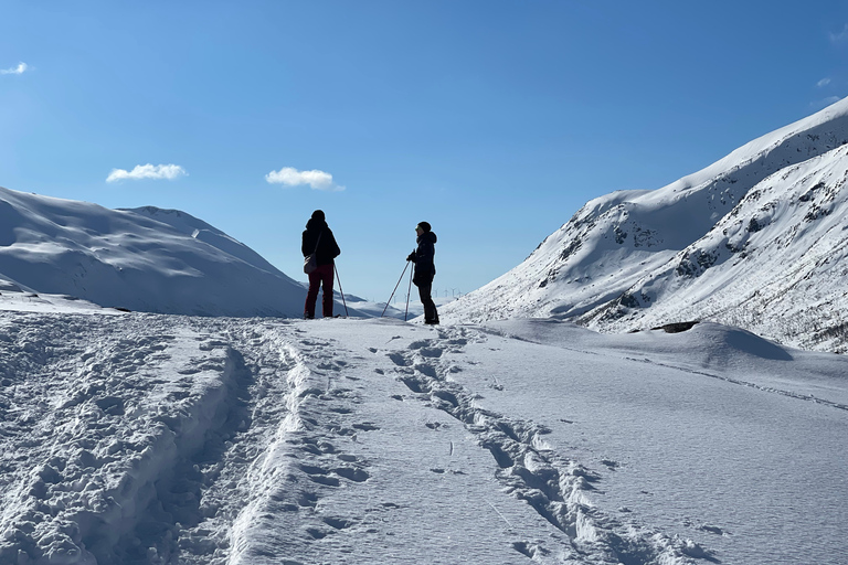 Tromso: recorrido panorámico y ecológico con raquetas de nieve