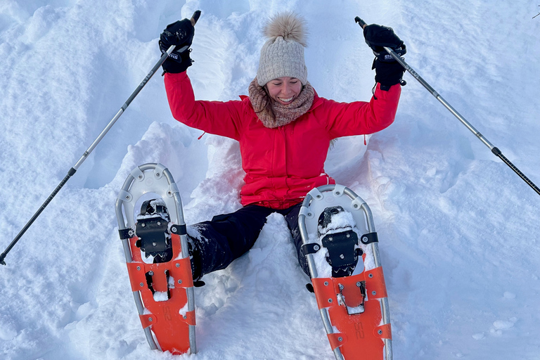 Tromsø: Malerische & umweltfreundliche Schneeschuh-Wanderung