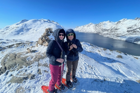 Tromso: visite panoramique et écologique en raquettes