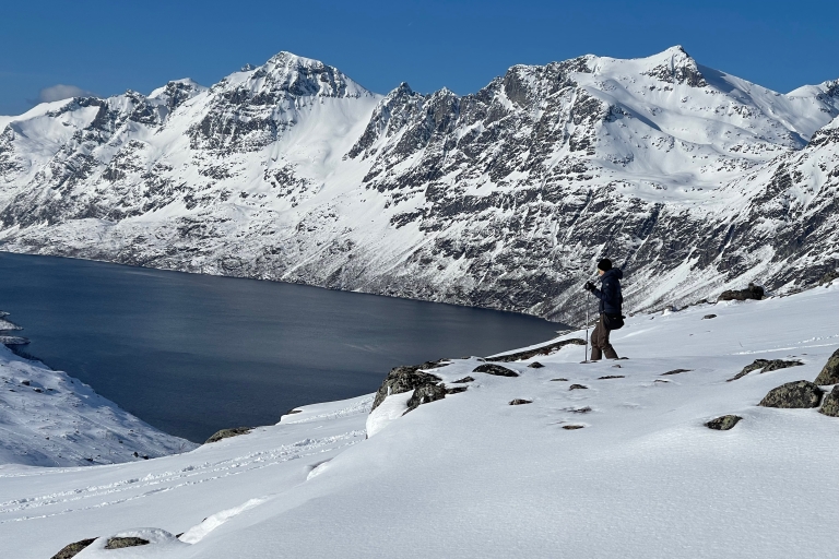 Tromso: visite panoramique et écologique en raquettes