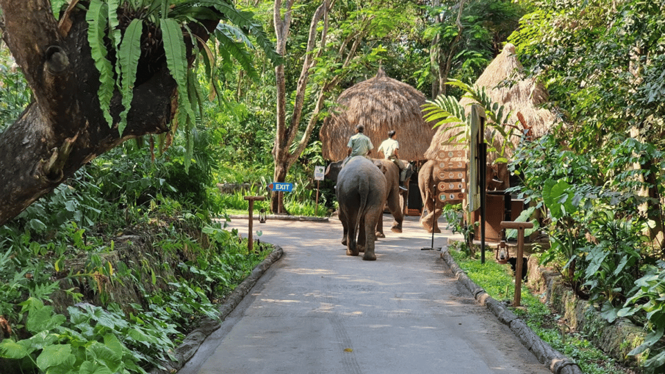 Bali: Bali Safari Day Experiences with Pickup Included | GetYourGuide