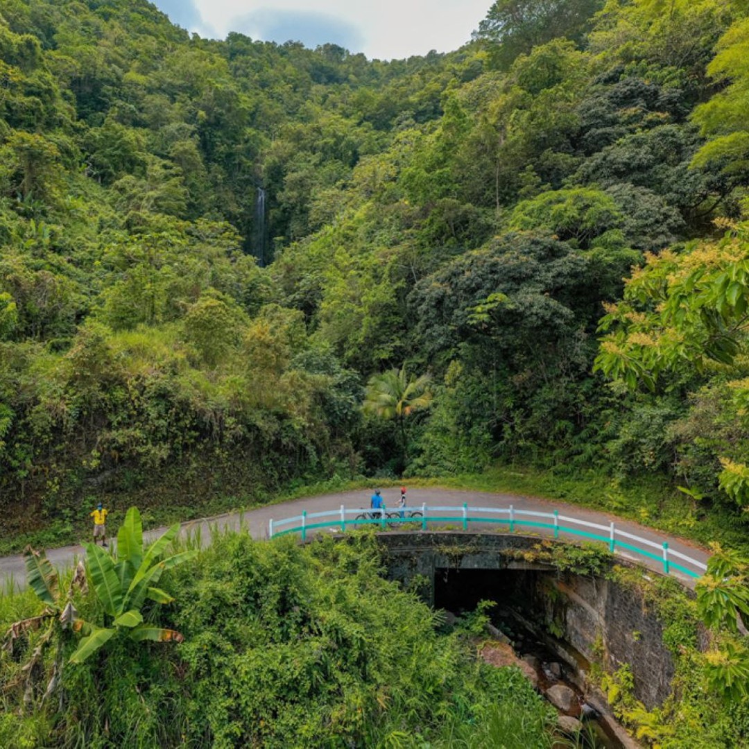 Colagem de mídia