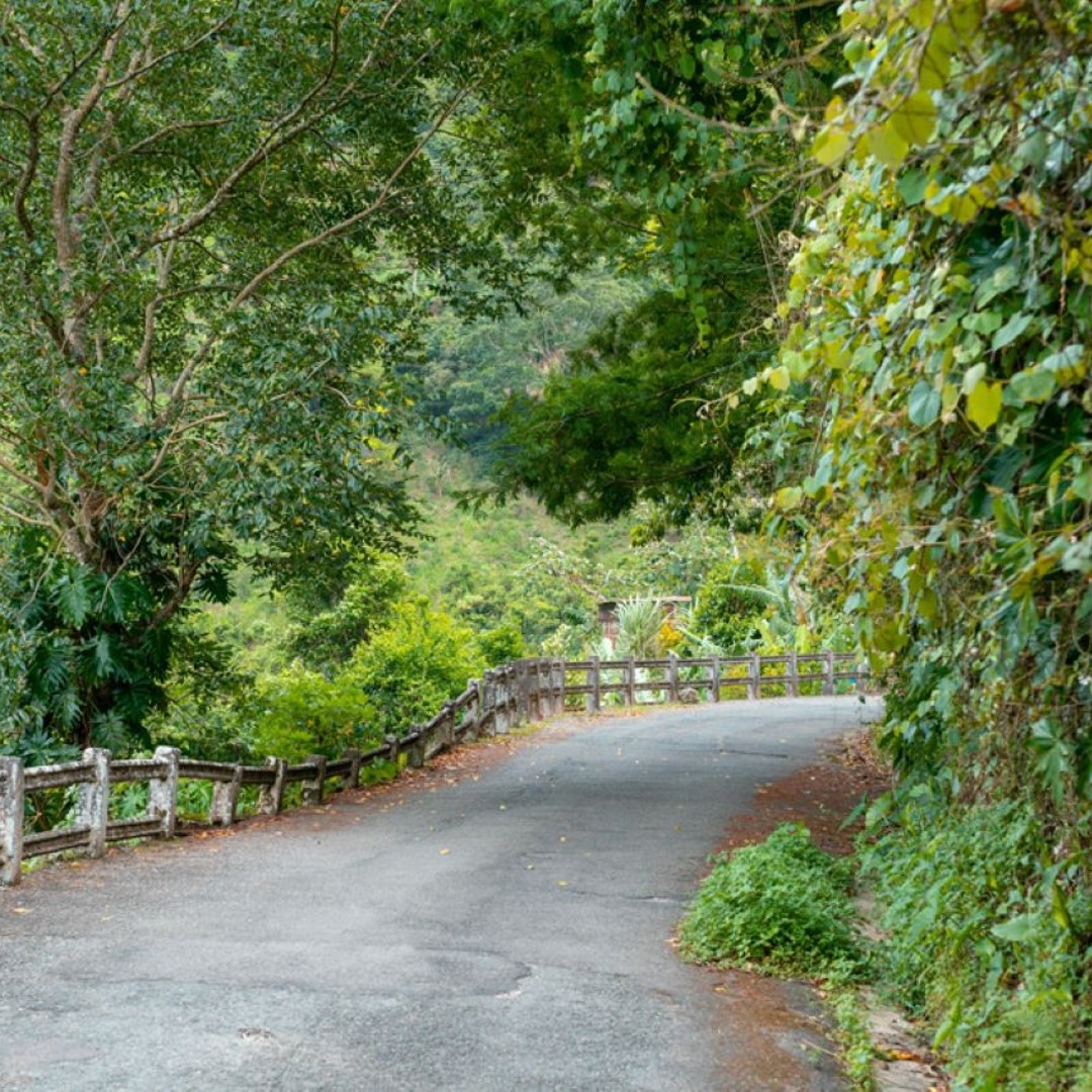 Colagem de mídia