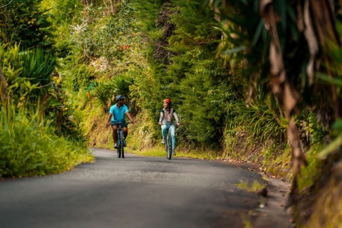 Montego Bay: Blue Mountain Private Fahrradtour