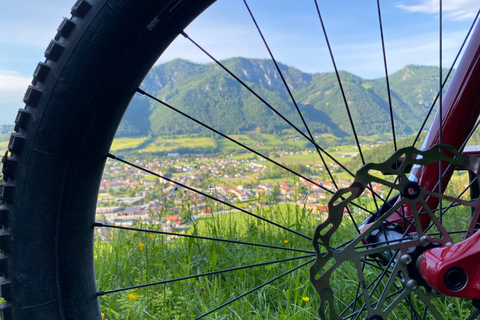 Innsbruck: Patscherkofel-bergwandeling en fietstochtPrivé rondleiding