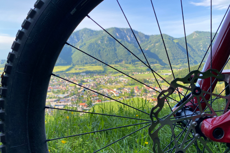 Innsbruck : Circuit de randonnée et de cyclisme dans la montagne de PatscherkofelVisite guidée privée