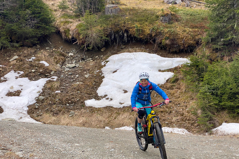 Innsbruck : Circuit de randonnée et de cyclisme dans la montagne de PatscherkofelVisite guidée privée