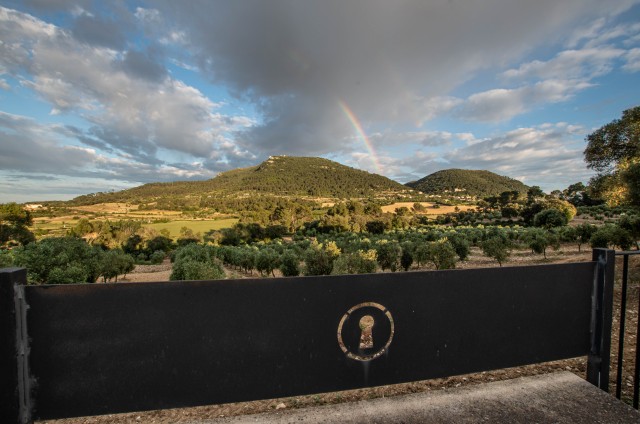 Visit Visit of the olive grove, olive oil tasting and snack in Palma de Majorque