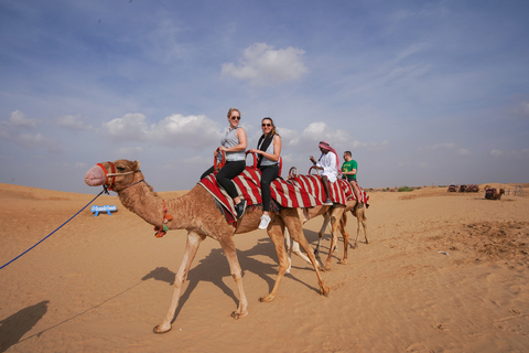 Dubai: Abenteuer-Dünenbuggy-Safari, Kamelritt &amp; BBQ-Dinner4 Stunden geteilte Tour mit 1 Stunde Buggy