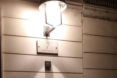 فيينا جولة الأشباح الألمانية المصحوبة بمرشدين في فيينا المخيفةجولة الأشباح الإرشادية باللغة الأل