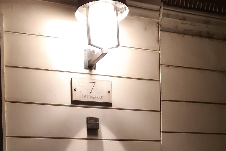 فيينا جولة الأشباح الألمانية المصحوبة بمرشدين في فيينا المخيفةجولة الأشباح الإرشادية باللغة الأل