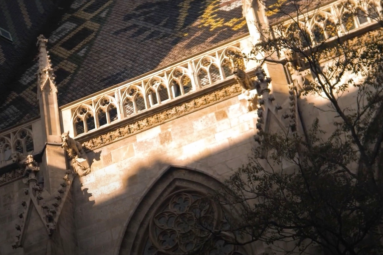 فيينا جولة الأشباح الألمانية المصحوبة بمرشدين في فيينا المخيفةجولة الأشباح الإرشادية باللغة الأل