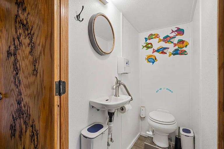 St. Petersburg, FL: 4-Hour Catamaran Cruise to Egmont Key