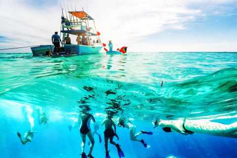 Cozumel: Island Snorkeling and Instagram Tour by Speedboat