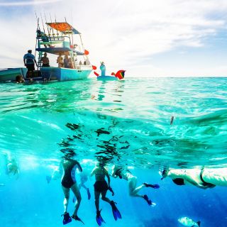 Cozumel: Island Snorkeling and Instagram Tour by Speedboat