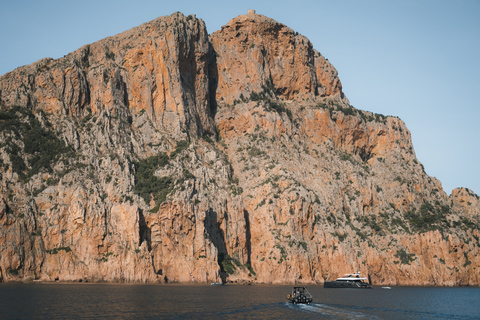 Von Porto aus: Piana Creeks und Scandola Semi-Rigid Boat Tour