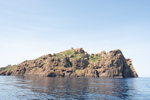 Von Porto aus: Piana Creeks und Scandola Semi-Rigid Boat Tour