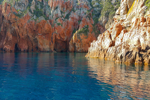 From Porto, Corsica: Piana Creeks Cruise Standard Cruise on Semi-Rigid