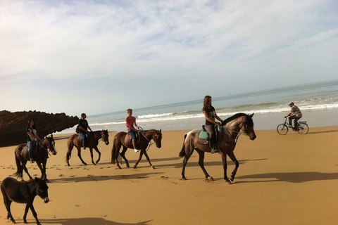 Agadir and Taghazout: 2-Hour Sunset Beach Horseback Ride2-Hour Tour in English, French, German, or Polish