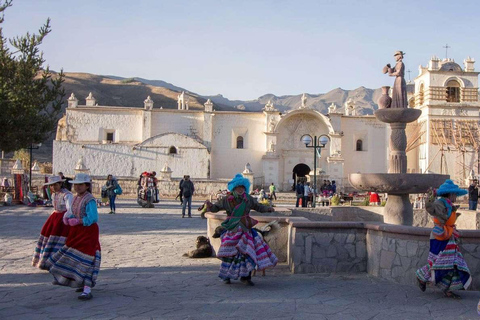 Arequipa: Colca Canyon 2 dagen en 1 nacht in Colca Canyo