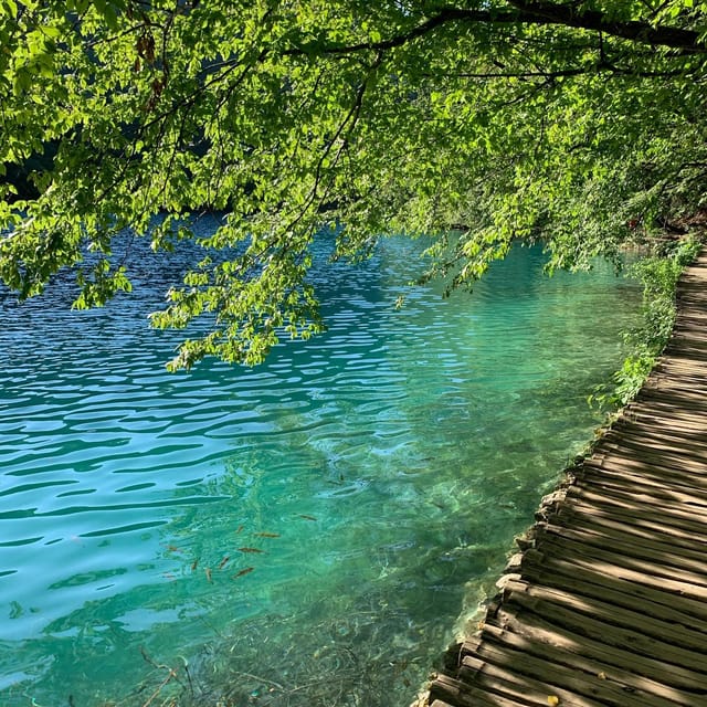 Plitvice Lakes National Park, Walking, Boat and Train Tour - Housity