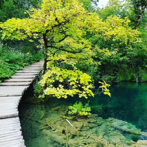 Visit Plitvice Lakes National Park Walking, Boat, and Train Tour in Plitvice Lakes National Park