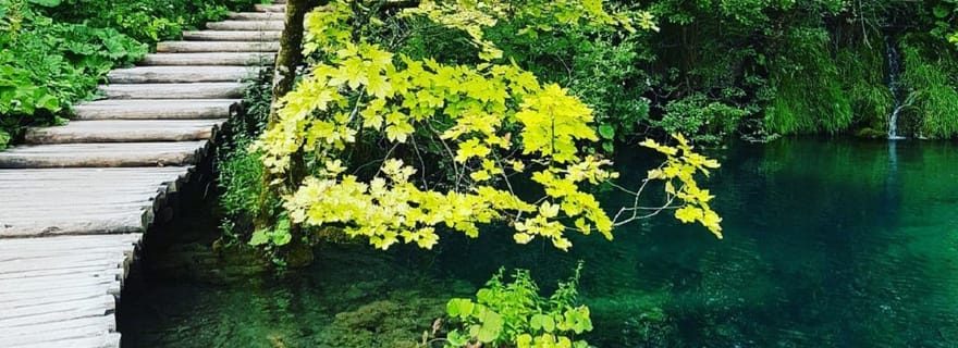 Parc national des lacs de Plitvice : Visite à pied, en bateau et en train