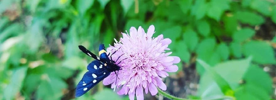 Excursion d'une demi-journée autour des lacs de Plitvice